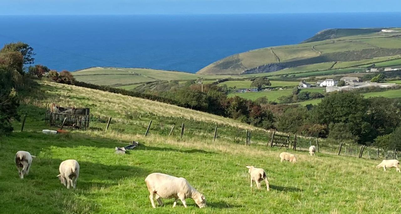 Polrunny Farm Sloe Cottage With A Sea View Boscastle Εξωτερικό φωτογραφία