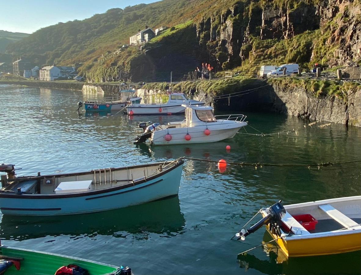 Polrunny Farm Sloe Cottage With A Sea View Boscastle Εξωτερικό φωτογραφία