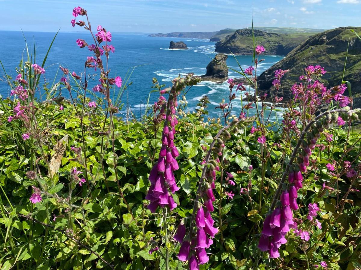 Polrunny Farm Sloe Cottage With A Sea View Boscastle Εξωτερικό φωτογραφία
