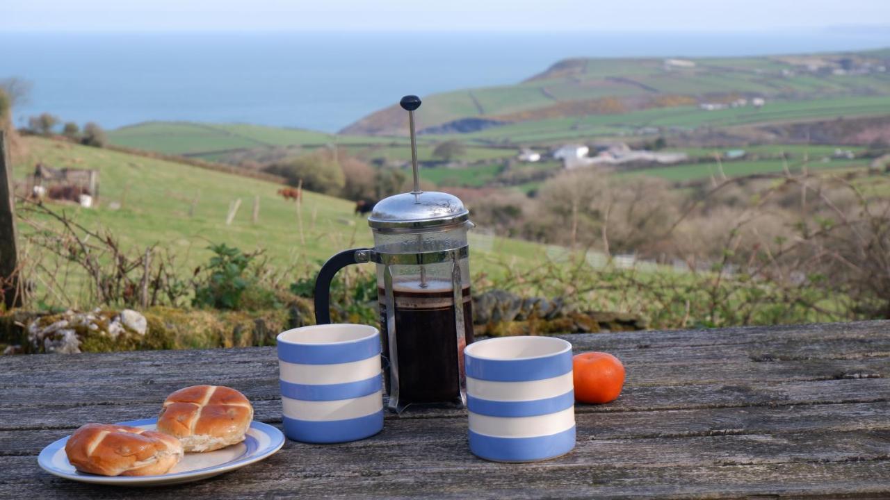 Polrunny Farm Sloe Cottage With A Sea View Boscastle Εξωτερικό φωτογραφία