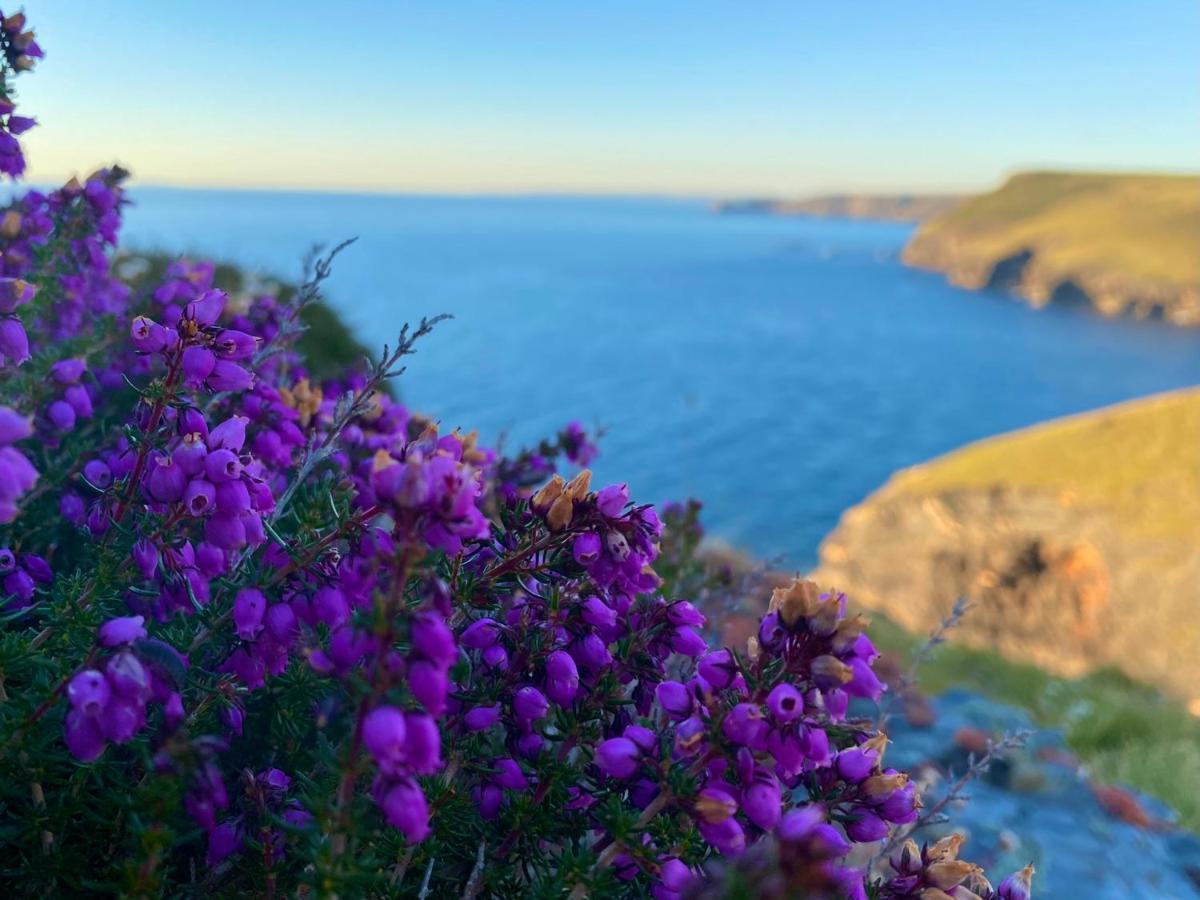 Polrunny Farm Sloe Cottage With A Sea View Boscastle Εξωτερικό φωτογραφία
